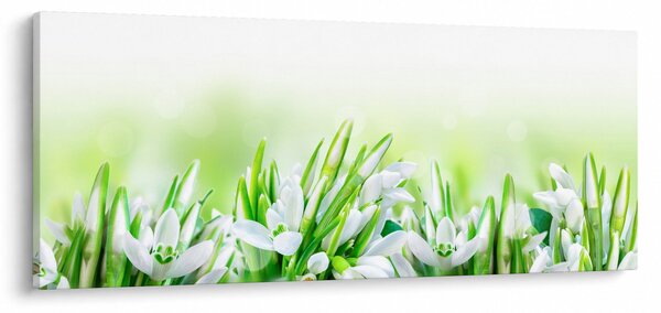 Kép - Hóvirág (120x50 cm)
