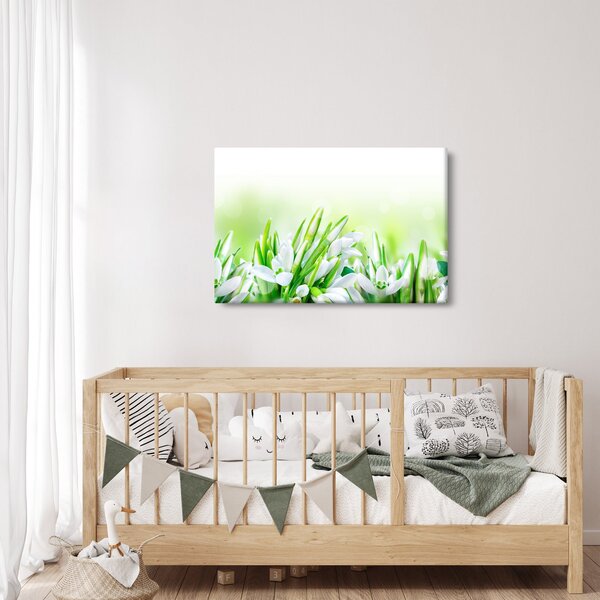 Kép - Hóvirág (90x60 cm)