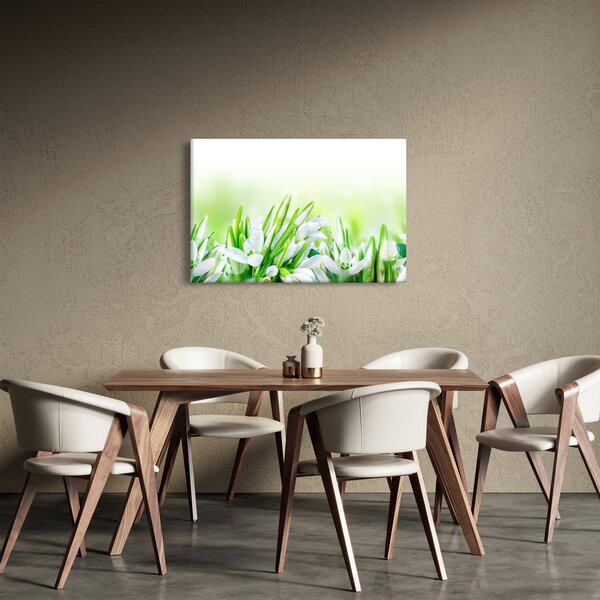 Kép - Hóvirág (90x60 cm)