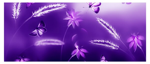 Kép - Pillangó rét (120x50 cm)