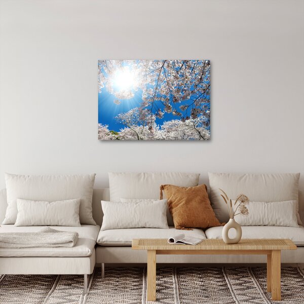 Kép - Cseresznyevirág (70x50 cm)