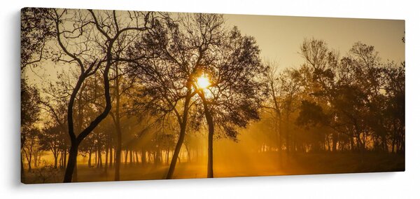 Kép - Napkelte (120x50 cm)