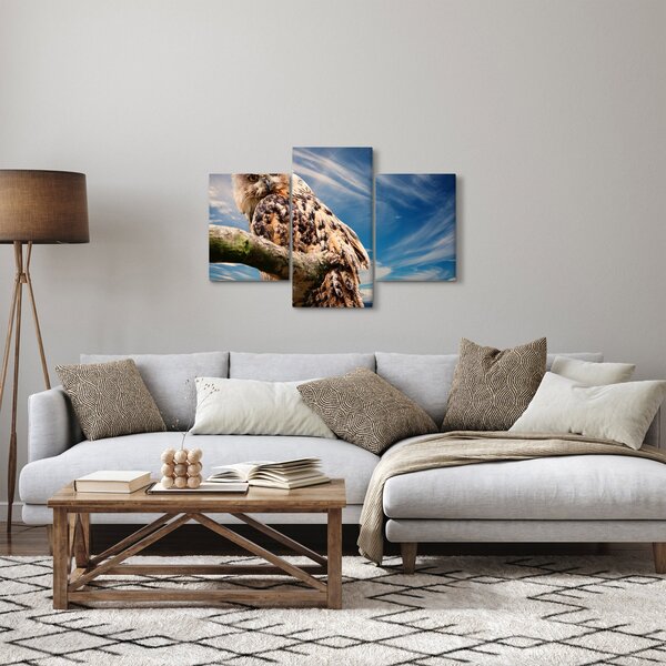Kép - Bagoly (90x60 cm)