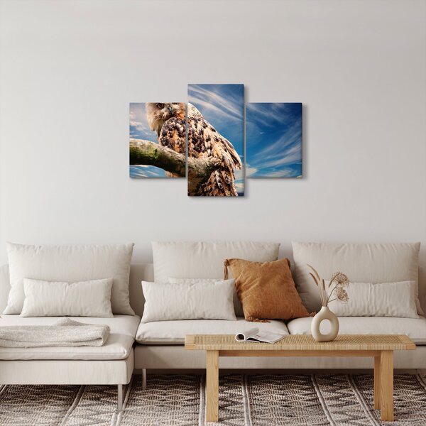 Kép - Bagoly (90x60 cm)