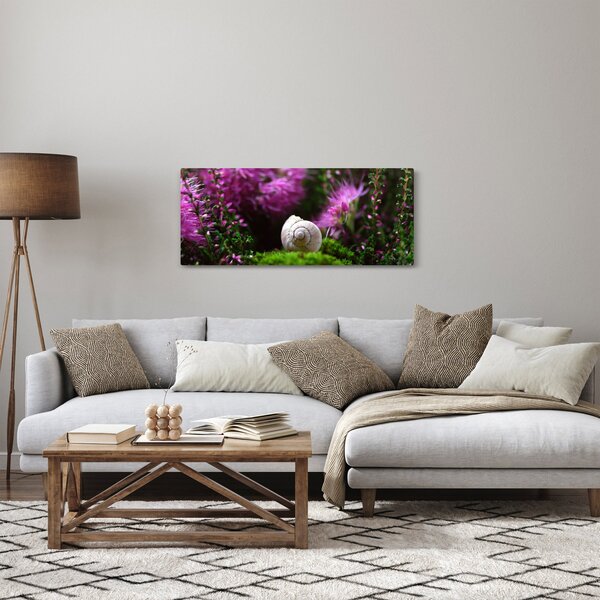 Kép - Csigaház (120x50 cm)