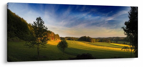 Kép - Hegyi rét (120x50 cm)