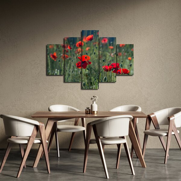Kép - Rét mák virággal (150x105 cm)
