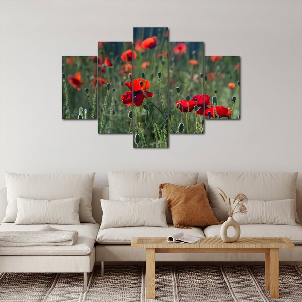 Kép - Rét mák virággal (150x105 cm)