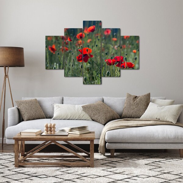 Kép - Rét mák virággal (150x105 cm)