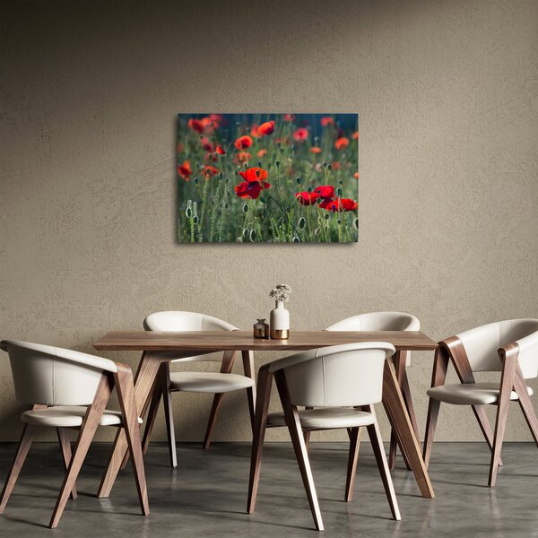 Kép - Rét mák virággal (70x50 cm)