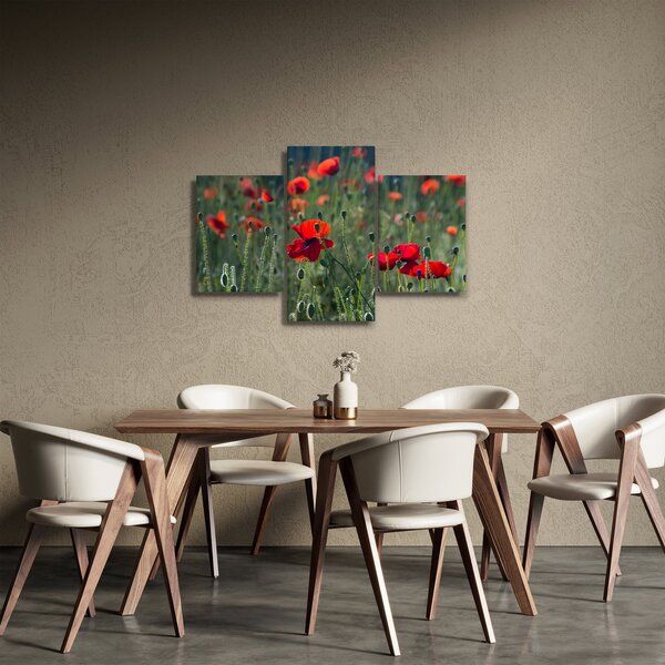 Kép - Rét mák virággal (90x60 cm)
