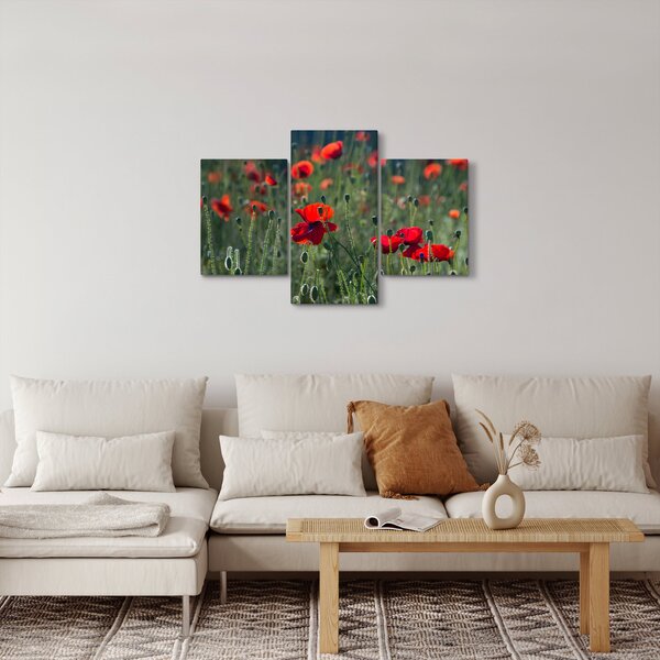 Kép - Rét mák virággal (90x60 cm)