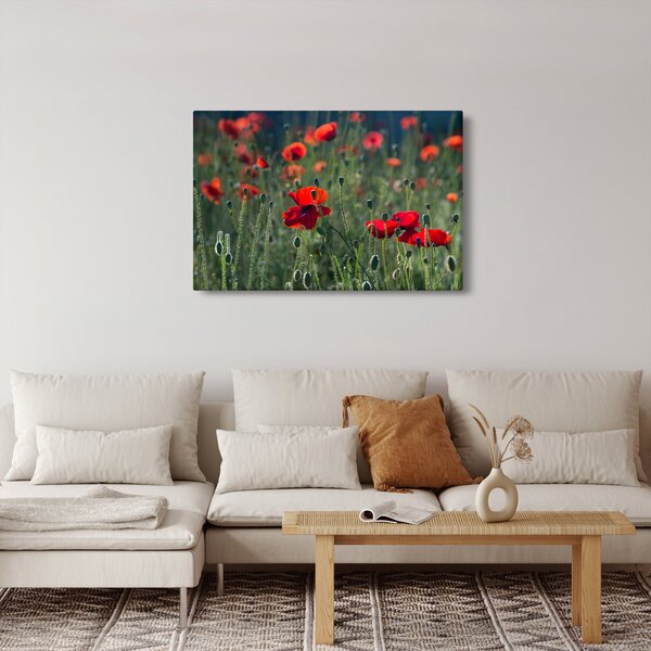 Kép - Rét mák virággal (90x60 cm)