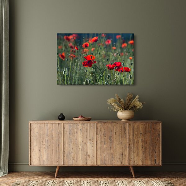 Kép - Rét mák virággal (90x60 cm)