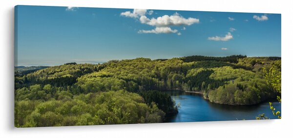 Kép - Tó az erdőben (120x50 cm)