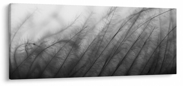 Kép - Fű a szélben (120x50 cm)