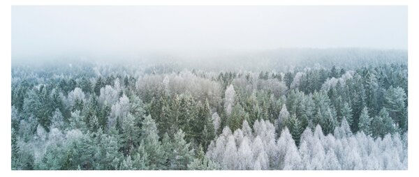 Kép - Havas erdőcsúcsok (120x50 cm)