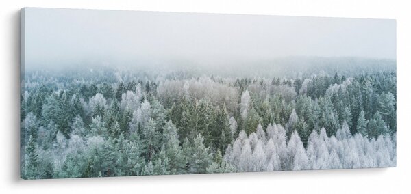 Kép - Havas erdőcsúcsok (120x50 cm)