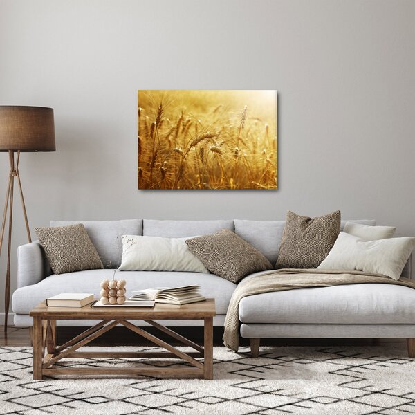 Kép - Gabonafül (70x50 cm)