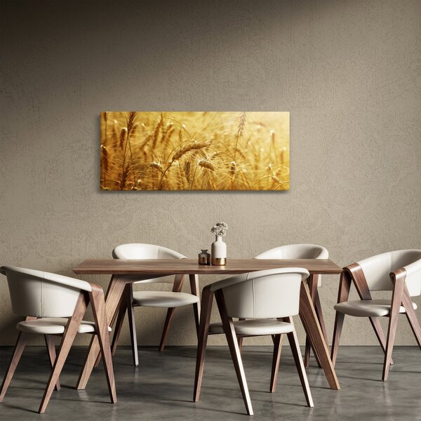 Kép - Gabonafül (120x50 cm)