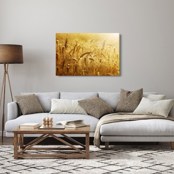 Kép - Gabonafül (90x60 cm)