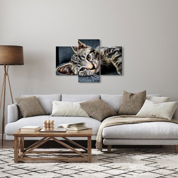 Kép - Cica (90x60 cm)