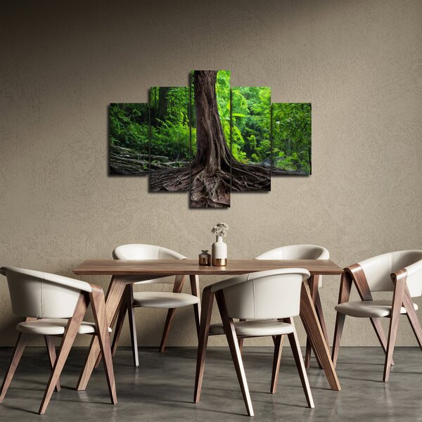 Kép - Öreg fa gyökere (150x105 cm)