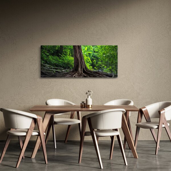 Kép - Öreg fa gyökere (120x50 cm)