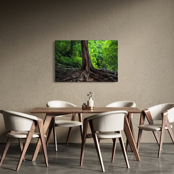 Kép - Öreg fa gyökere (90x60 cm)