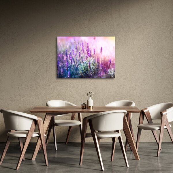 Kép - Levendula a csillogó napban (70x50 cm)