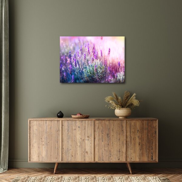 Kép - Levendula a csillogó napban (70x50 cm)