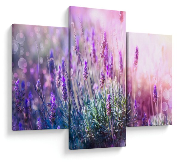 Kép - Levendula a csillogó napban (90x60 cm)
