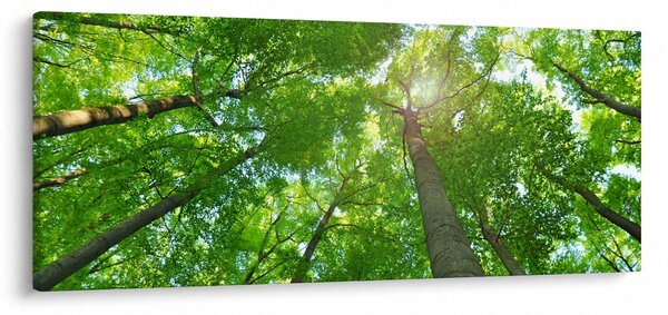 Kép - Erdő (120x50 cm)