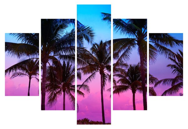 Kép - Pálmafák Miamiban (150x105 cm)
