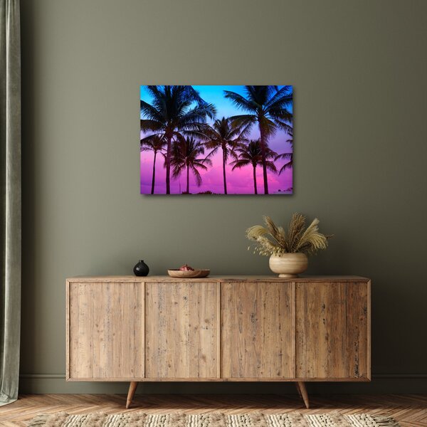 Kép - Pálmafák Miamiban (70x50 cm)