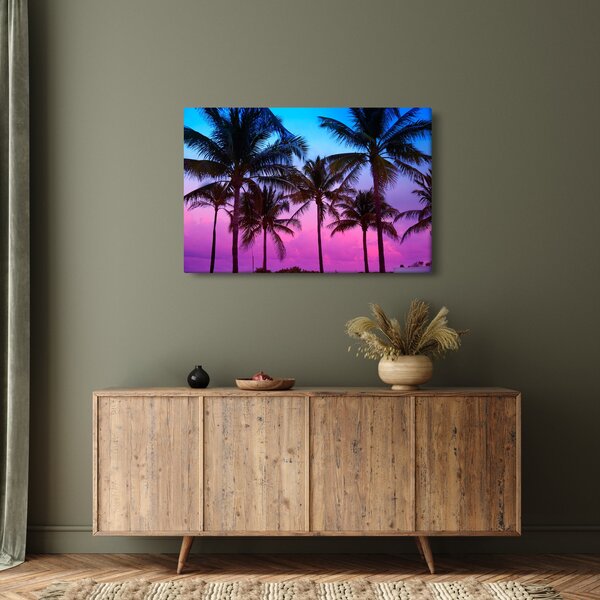 Kép - Pálmafák Miamiban (90x60 cm)