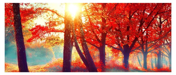 Kép - Őszi táj (120x50 cm)