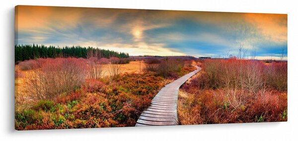Kép - Őszi út (120x50 cm)
