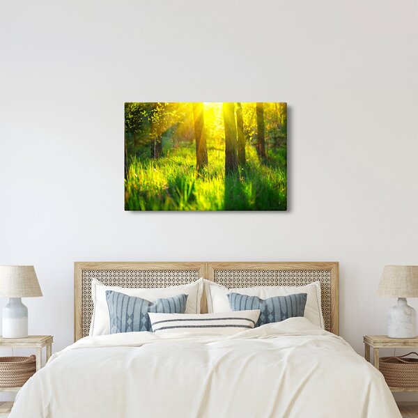 Kép - Az erdő tavaszi ébredése (90x60 cm)