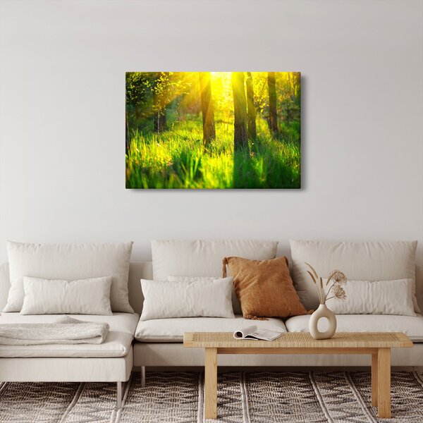 Kép - Az erdő tavaszi ébredése (90x60 cm)