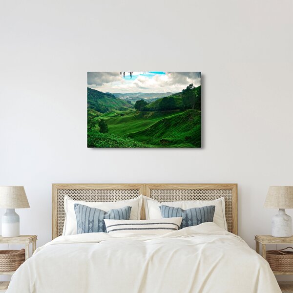 Kép - Teaültetvények Malajziában (90x60 cm)