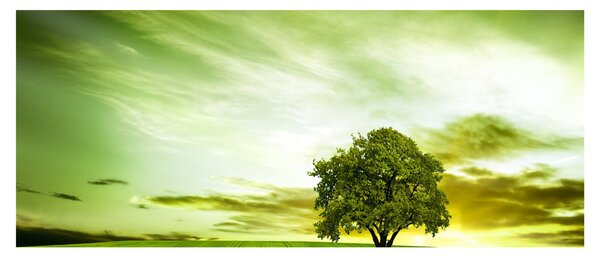Kép - Az élet fája (120x50 cm)