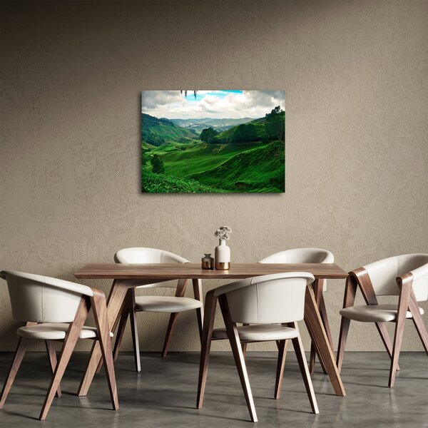 Kép - Teaültetvények Malajziában (70x50 cm)
