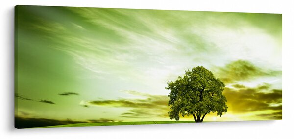 Kép - Az élet fája (120x50 cm)
