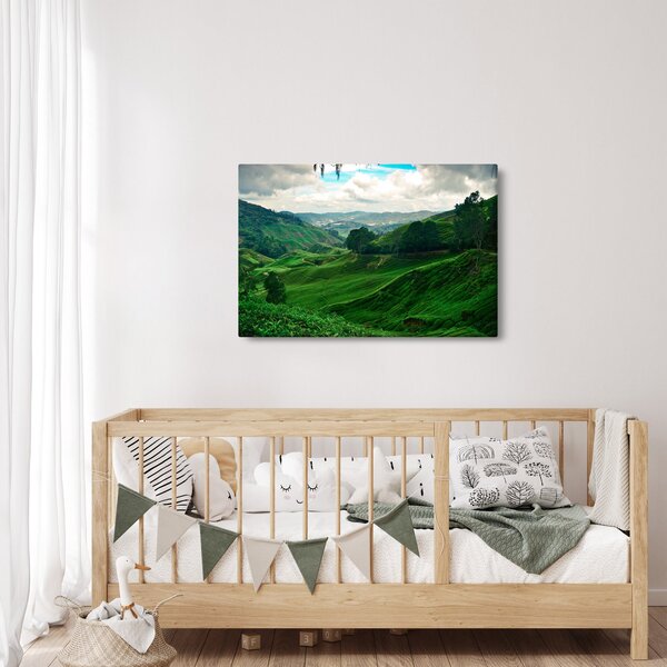 Kép - Teaültetvények Malajziában (90x60 cm)