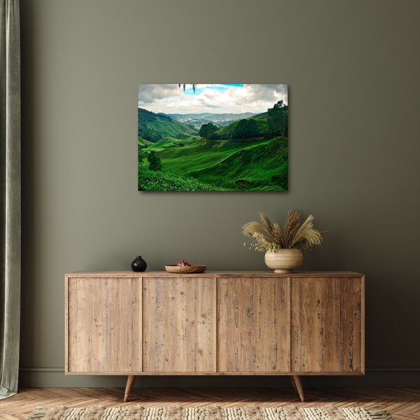 Kép - Teaültetvények Malajziában (70x50 cm)