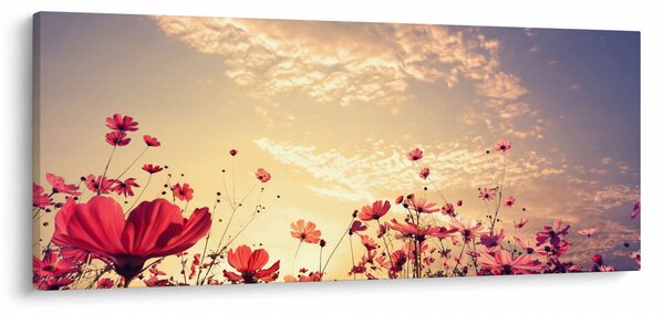 Kép - Rét virágokkal (120x50 cm)