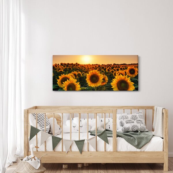 Kép - Napraforgó (120x50 cm)