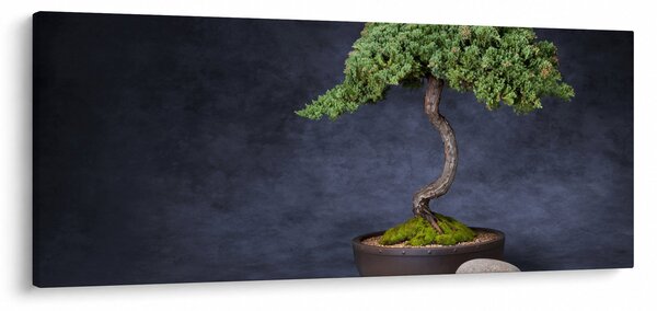 Kép - Bonsai (120x50 cm)
