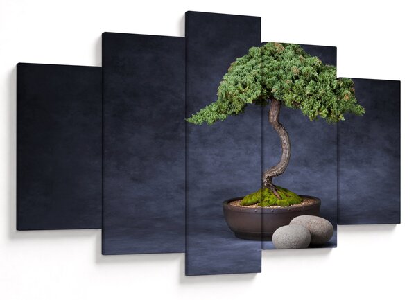 Kép - Bonsai (150x105 cm)